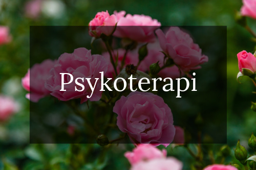 psykoterapi